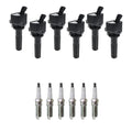 Set of 6 Ignition Coils & NGK Platinum Spark Plugs for Chevrolet Trailblazer (2002–2009)