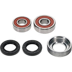 Pivot Works Premium Wheel Bearing for