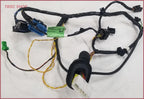 Front RH Passenger Door Wire Harness for Jaguar XJ8 XJR VDP (1998–2003)
