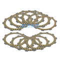 Clutch Friction Plate Kit for Ducati Multistrada 1100/1100 S (2007–2009) 19020131A