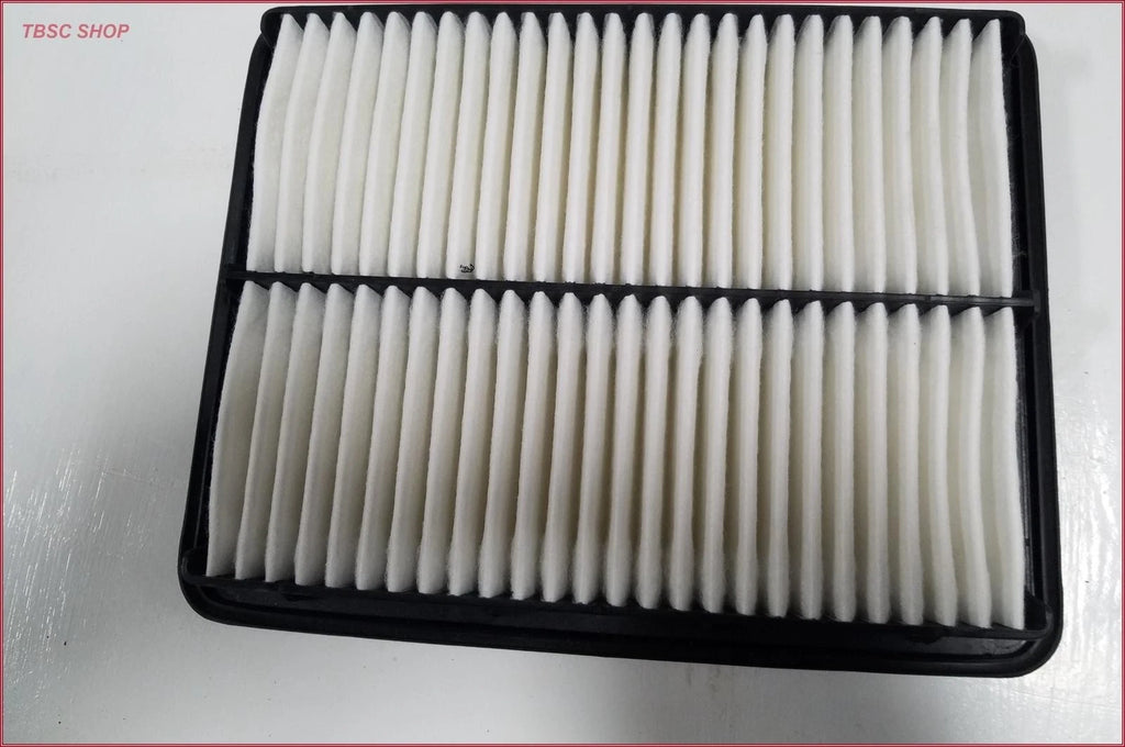 Luber-Finer AF2441 Air Filter for