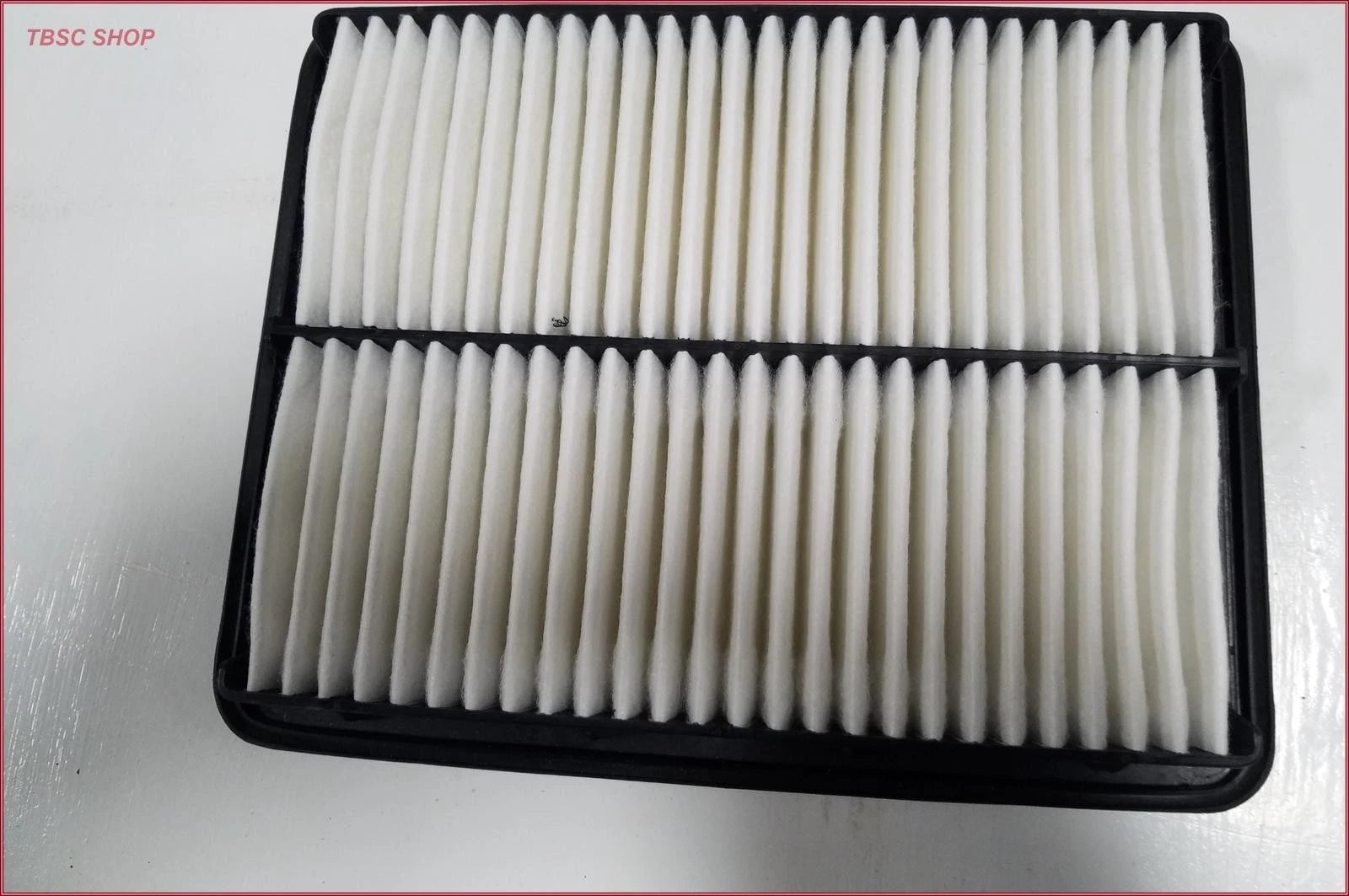 Luber-Finer AF2441 Air Filter for