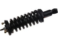 Front Strut and Coil Spring Assembly for Suzuki Equator (2009–2012) RM566WX