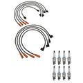 Denso Wire Set & Platinum TT Spark Plugs Kit for Ford 5.0 V8 (0.040)