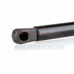 Set of 2 Hood & Liftgate Lift Supports for Nissan Murano (2005–2007)