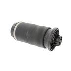 Air Spring Shock and Strut for Mercedes-Benz (Rear, Driver/Passenger Side)