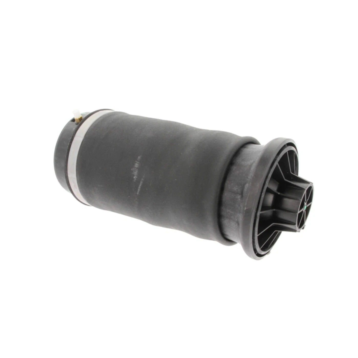 Air Spring Shock and Strut for Mercedes-Benz (Rear, Driver/Passenger Side)