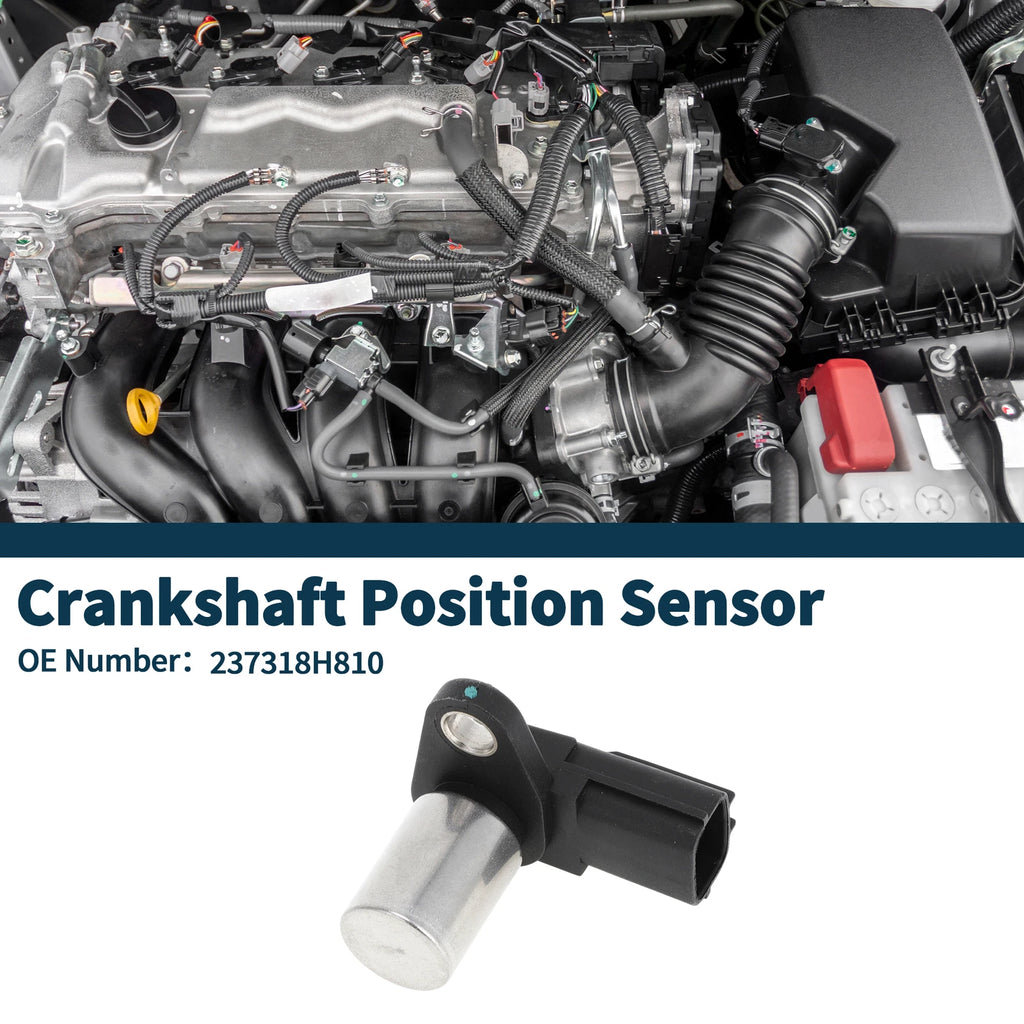 Crankshaft Position Sensor for Nissan X-Trail 2.2DCi (2001–2004) No. 237318H810
