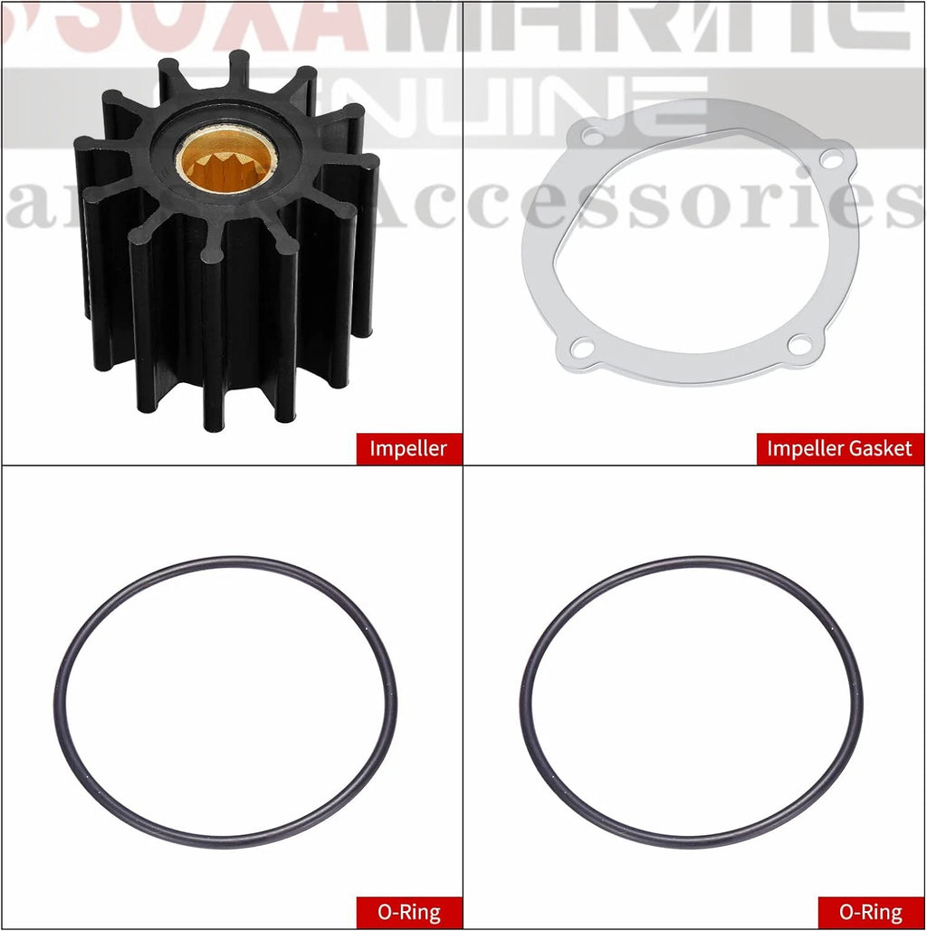 Raw Sea Water Pump Impeller Kit 18-3306 for Johnson 09-812B Indmar 119773-42600