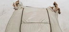 Front Right Bottom Seat Cushion Warmer for Jaguar XJ8 XJR VDP (1998–2003)