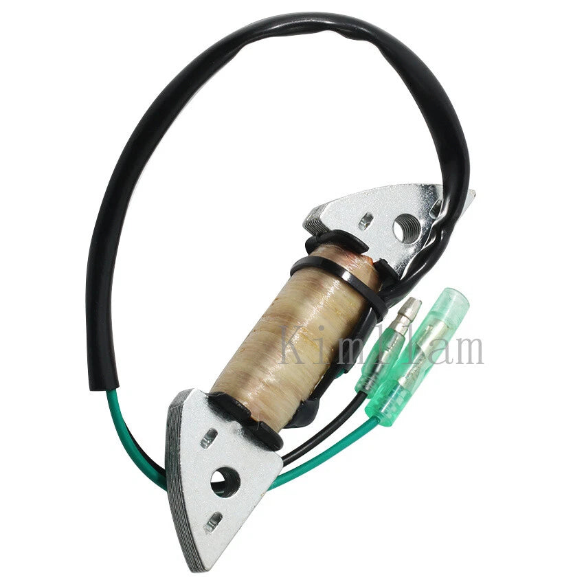 Magneto Stator Coil for Nissan Outboard NS6B NS8B NS9.8B (2002–2003)