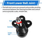2X Front Lower Ball Joints for Chevrolet Equinox (2010–2017) No.K500227/19258791