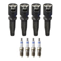 Set of 4 Ignition Coils & Spark Plugs for Ford Focus L4 (VIN Z)
