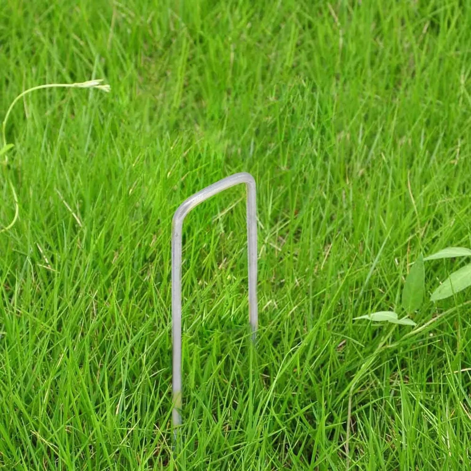 Set of 1000 Landscape Staples for Garden Use (6" Galvanized)