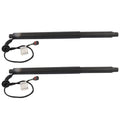 Electric Lift Support Set of 2 for Volvo XC90 (2016–2019) 31457610