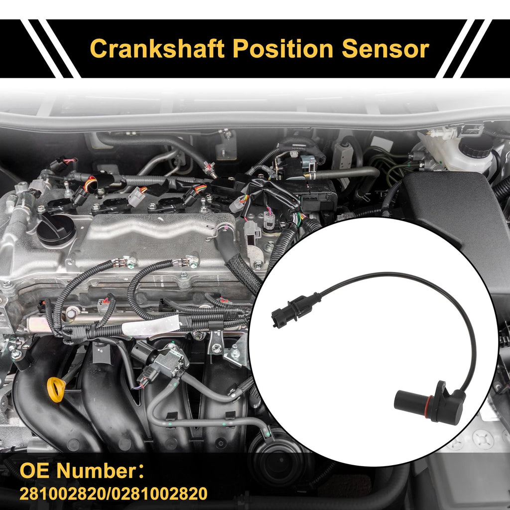 1 Pc Crankshaft Position Sensor No.281002820 for Ford Ranger (2006–2011)
