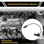 1 Pc Crankshaft Position Sensor No.281002820 for Ford Ranger (2006–2011)