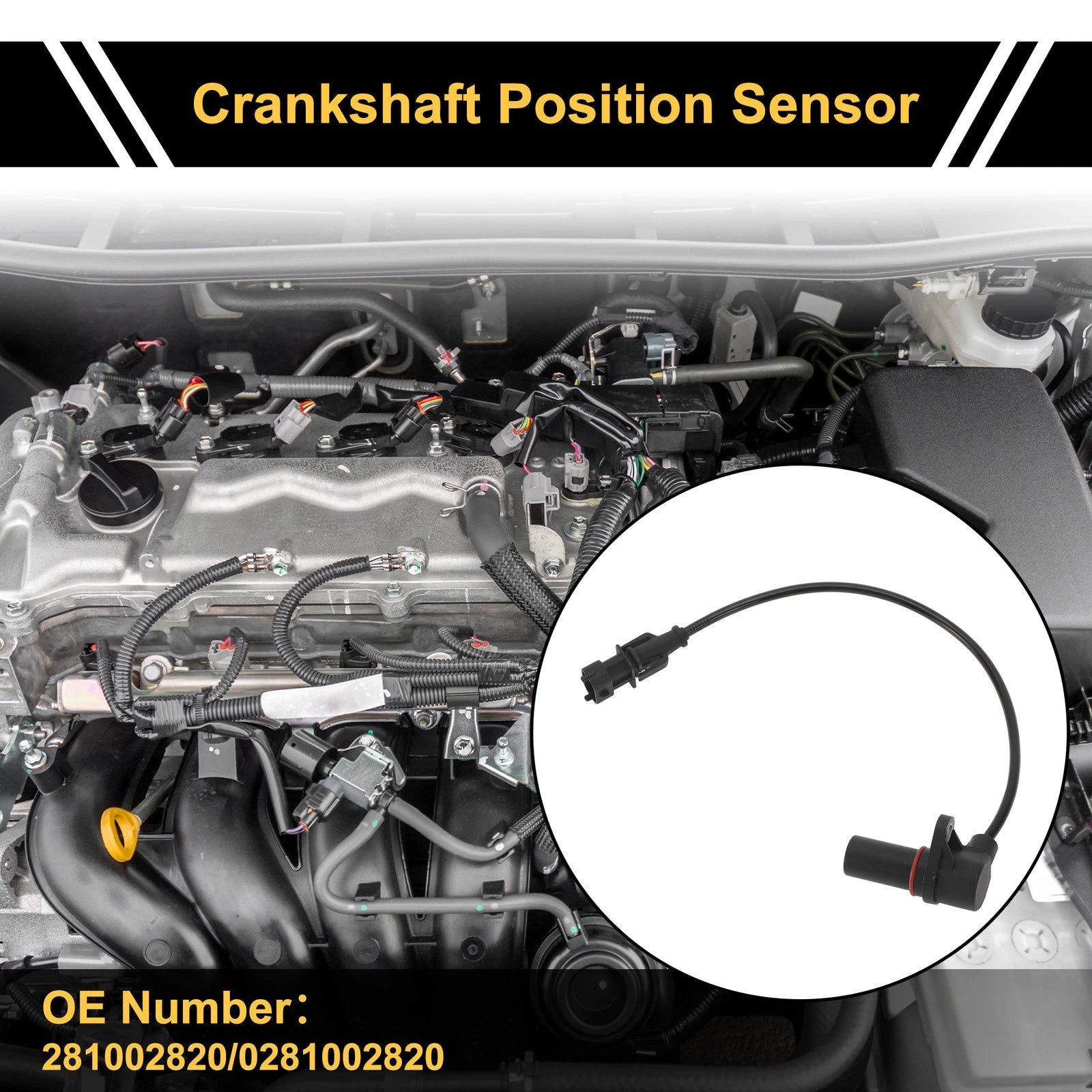 1 Pc Crankshaft Position Sensor No.281002820 for Ford Ranger (2006–2011)