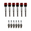 Set of 6 Ignition Coils & Spark Plugs for Audi S5 3.0 V6 (2008–2016)