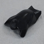 Glossy Black Fuel Gas Tank Cover for Ducati Panigale V4 V4S SP (2018–2020)
