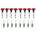 Set of 8 Ignition Coils & NGK V-Power Spark Plugs for Audi VW Porsche 4.2L V8