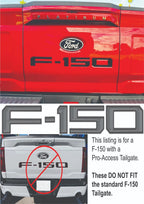 Tailgate Letter Inserts Pro-Access in Tremor Grey for 2024–2026 Ford F150