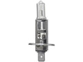 Front Fog Light Bulb for Jaguar XK8 (1998–2006) TG422VR