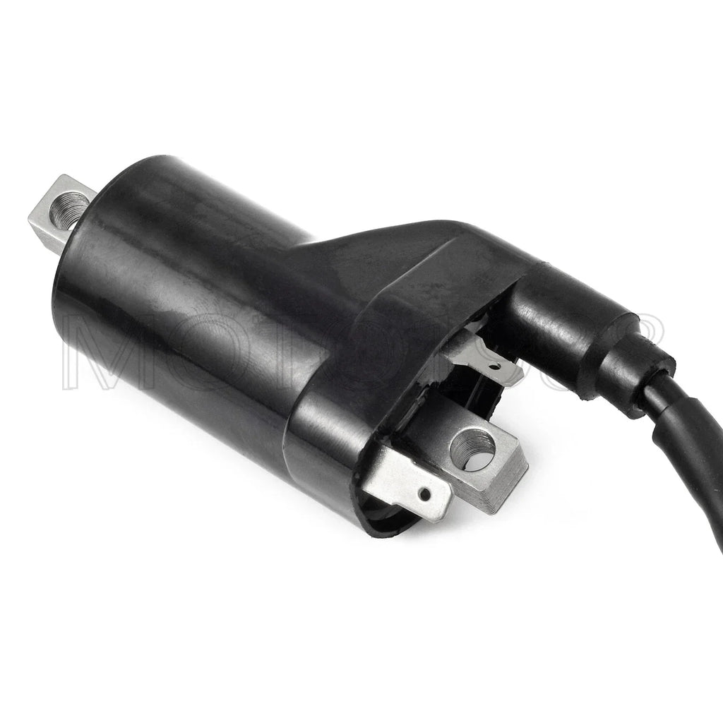 Ignition Coil Pack & CAP for Arctic Cat Prowler (2008–2014)
