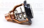 Thermostat for Yamaha Outboard F100D (2000–2006) 6D9-12411-01 6D9-12411-00