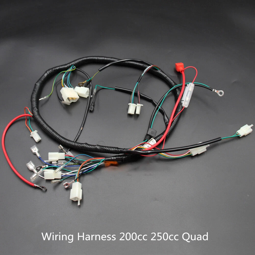 Quad Wiring Harness for Chinese 200 250 300cc Electric Start (Loncin Zongshen Ducar)