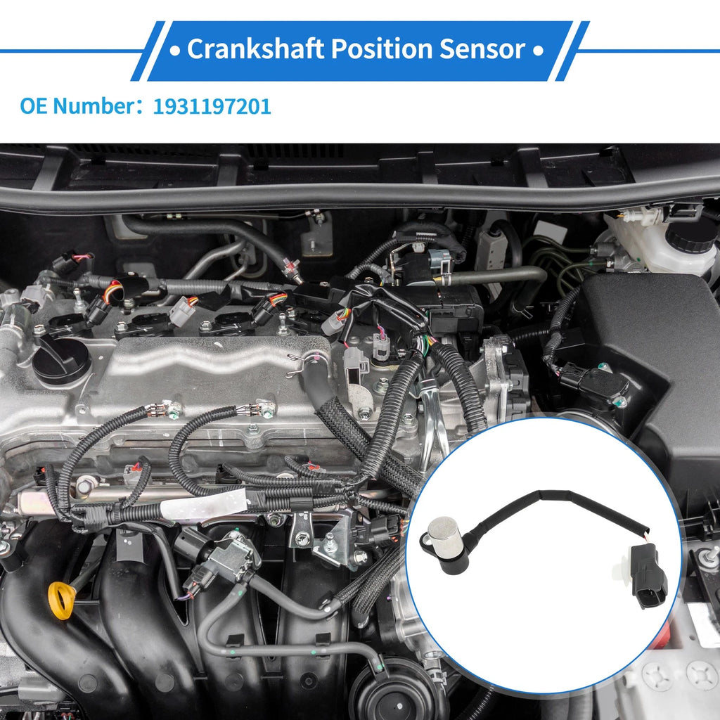 Crankshaft Position Sensor for Mitsubishi Suzuki (No. 1931197201)