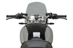 Windscreen for BMW Naked New Gen Touring