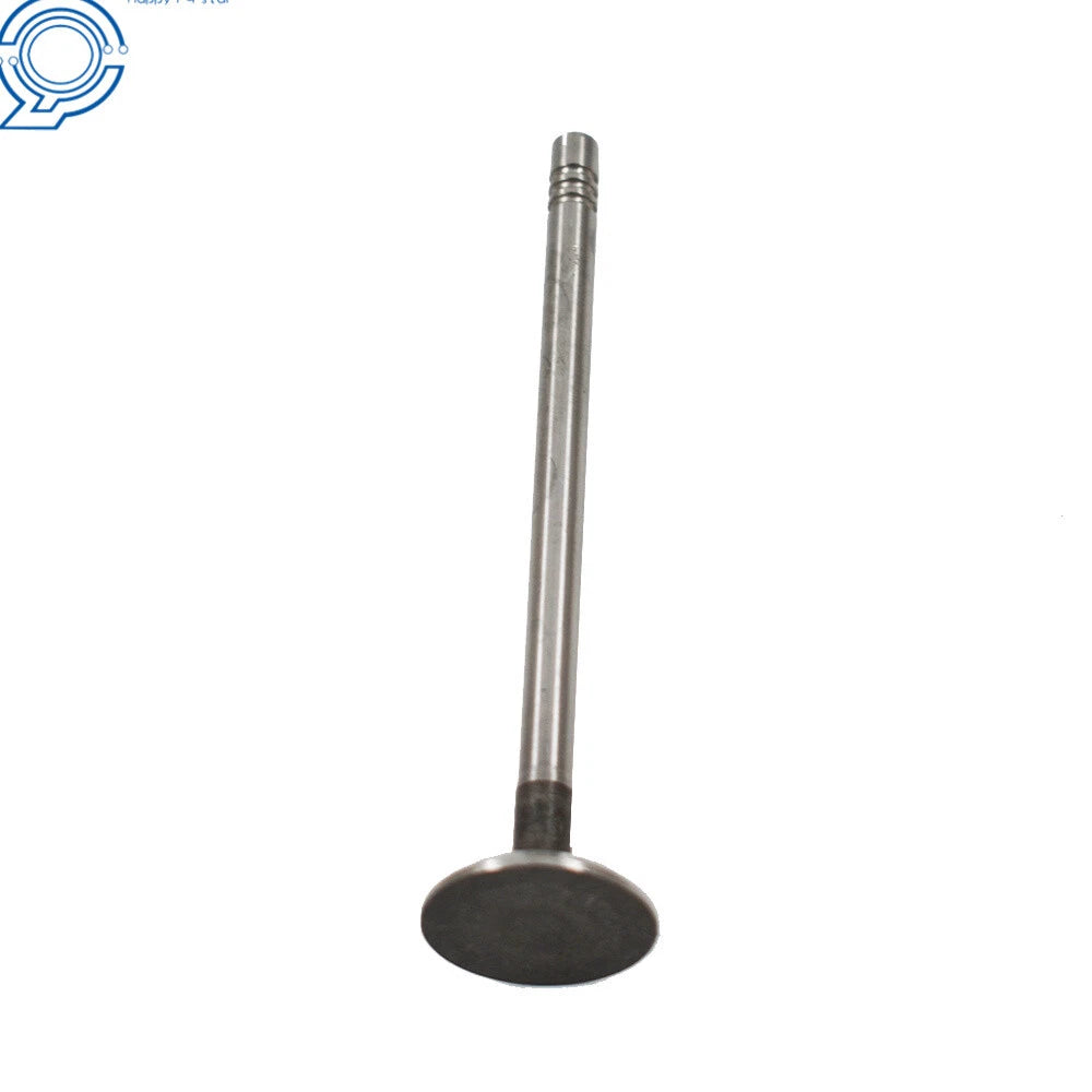 Intake Exhaust Engine Valve Kit for Chrysler 300, Dodge Intrepid, Charger (1999-2004)