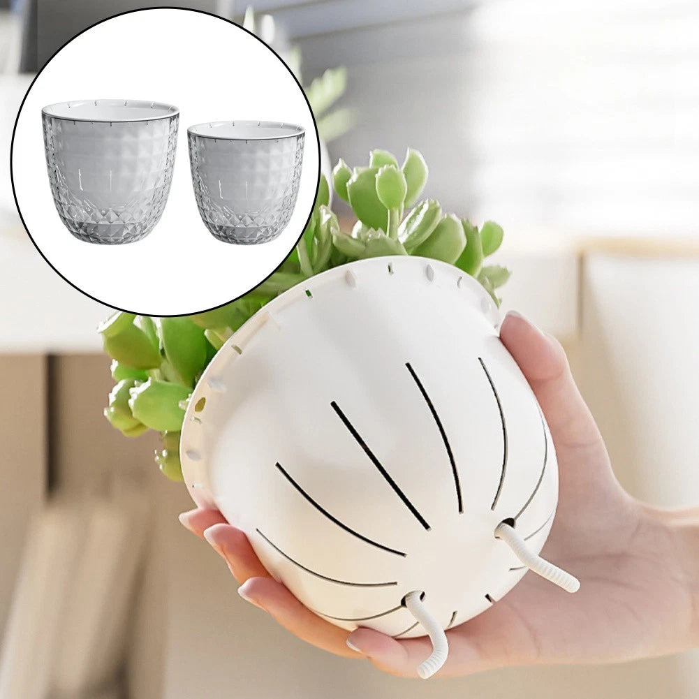 Transparent Self Watering Pot for Indoor Plants (Indoor Use)