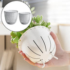 Transparent Self Watering Pot for Indoor Plants (Indoor Use)