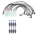 Denso Wire Set & 8 Iridium Spark Plugs Kit for Dodge V8 (0.044)