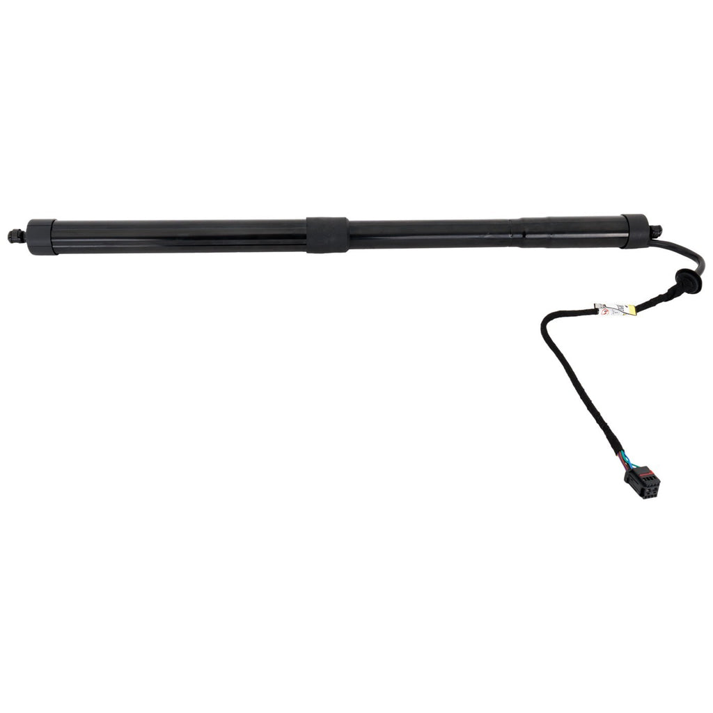 Liftgate Lift Supports for Nissan Rogue (2014–2020)