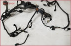 Engine Management Wiring Harness for Jaguar S-Type V6 3.0 (2000–2002)