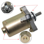 Starter for Derbi Predator 50 (1999–2002), Hunter 50 (1997), Atlantis 50 (1999–2001), Paddock 50 (1999)