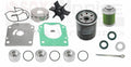Maintenance Repair Kit for Suzuki DF100 HP (2018–Present) 17400-87831
