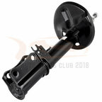 Set of 4 Complete Struts for Lexus ES300 (1997–2001)