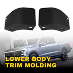 Side Stone Rock Guard Trim Molding Kit for F-150 (2021–2023) EPY
