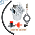 Carburetor for B & S 289702 289707 28D702 28D707 28M706 494502