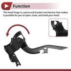 Hood Hinges for Lexus RX350 Front Bonnet Bracket (2016-2022) - 1 Pair