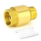 Brass Check Valve with Stainless Steel Spring for Secure Backflow Prevention