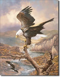 Vintage Replica Tin Metal Sign Bald Eagle Outdoor Fishing Hunting 1029