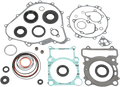Motor Gasket Kit with Oil Seal for Yamaha (811875mse)