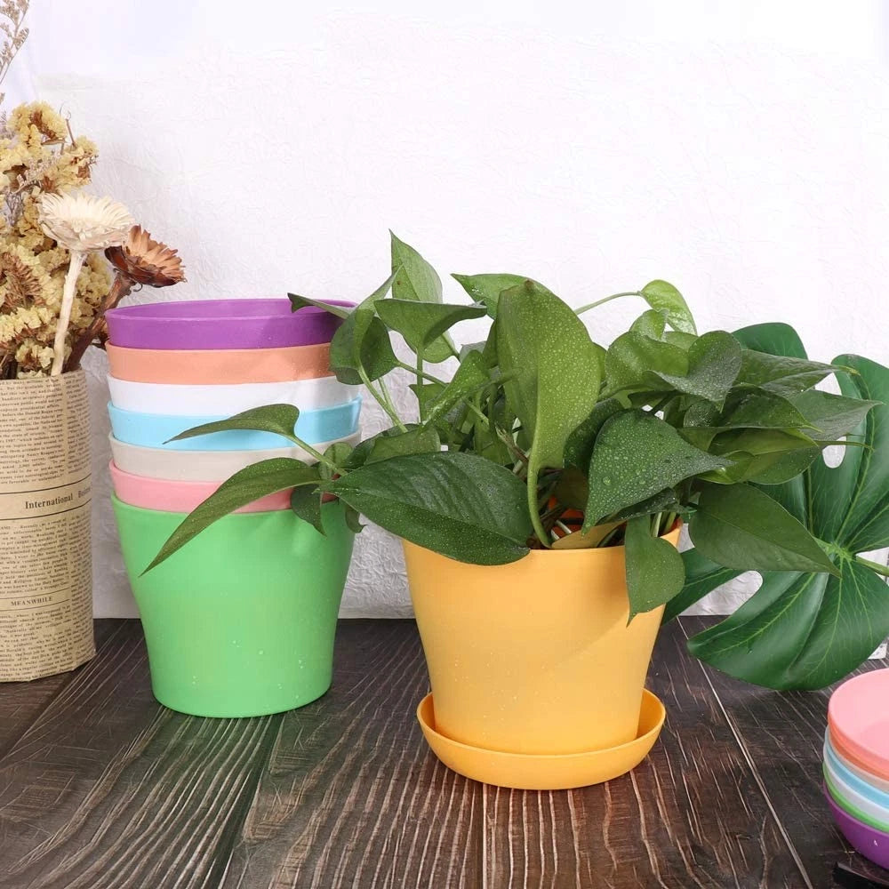 Set of 5 Colorful Plastic Flower Pots for Nursery Seedlings