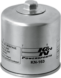K&N Performance Oil Filter for BMW (KN-163)