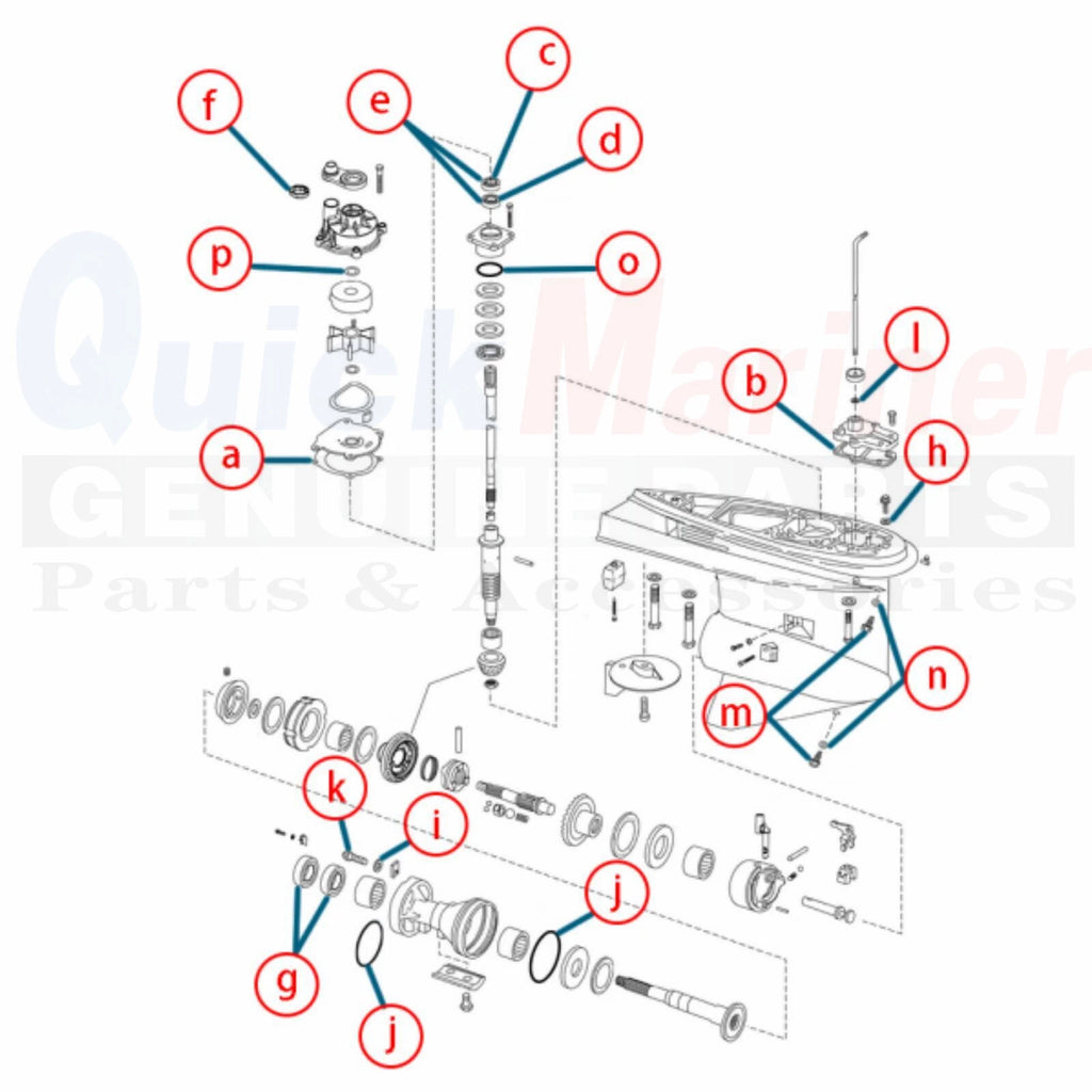 Lower Unit Gearcase Seal Kit for Johnson Evinrude E-Tec (5006373, 439141, 396354)